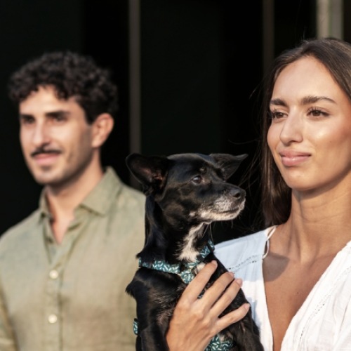 two people walking a dog